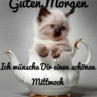 Guten Morgen...