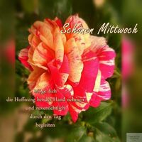 Schönen Mittwoch...