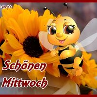 Schönen Mittwoch