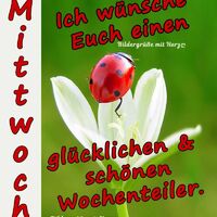Mittwoch - Ich...
