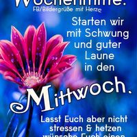 Wochenmitte. Star...