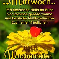 ..Mittwoch.. Ein...