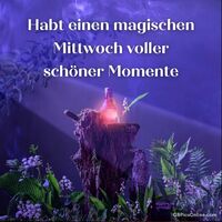 Entdeckt die geheimnisvolle Schönheit eines verzauberten Waldes in der Dämmerung.