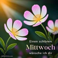 Sanfte Sonnenstrahlen tanzen auf zarten Blüten und verbreiten pure Lebensfreude im Alltag.