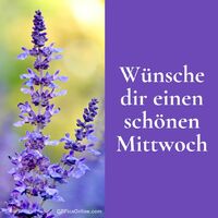 Sanfte Lavendelblüten strahlen Ruhe und Frische aus - ein perfekter Moment für eine kleine Auszeit mitten in der Woche.