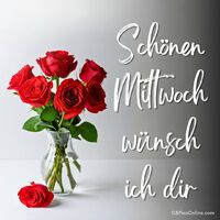 Das Bild zeigt einen eleganten Strauß roter Rosen in einer Glasvase vor schlichtem Hintergrund, gestaltet im freundlichen und einladenden Stil für mittwöchliche Grüße.