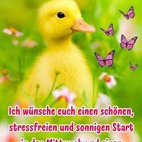 Gelbes Entenküken in grüner Wiese mit kleinen Blüten, daneben mehrere violette Schmetterlinge und Morgengruß