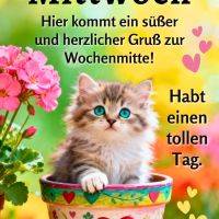 Kätzchen mit blauen Augen sitzt in bemaltem Blumentopf mit Herzen, daneben pinke Blüten und Herzchen