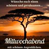 Die Sonne senkt sich hinter der majestätischen Silhouette eines afrikanischen Baumes.