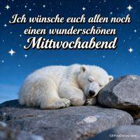 Schlafender Eisbär auf Felsen unter sternklarem Himmel mit Gruß zum Mittwochabend