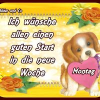 Ich wünsche allen...