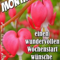 Montag. Einen...
