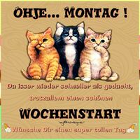 Ohje.. Montag!...
