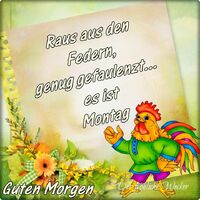 Raus aus den Fede...