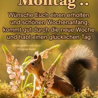 Montag... Wünsche...