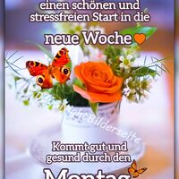 Liebe Montagsgrüs...