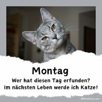 Montag. Wer hat...