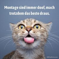 Montage sind imme...