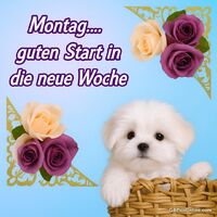 Montag... guten...