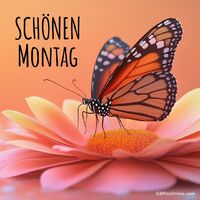 Ein Schmetterling landet leise auf einer sonnigen Blume, ein perfekter Moment der Schönheit und Ruhe.