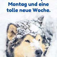 Ich wünsche euch...
