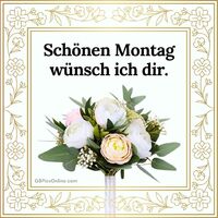 Schönen Montag...