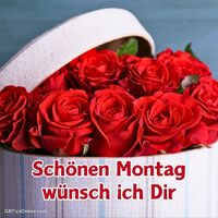 Schönen Montag...