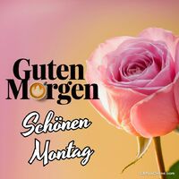 Guten Morgen...