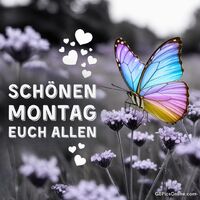 Ein bunter Schmetterling bringt Farbe und Leichtigkeit in den Start der Woche und lädt zum Träumen ein.