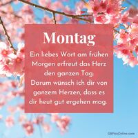 Ein Hauch von Frühling und Optimismus - dieses Bild schenkt jedem Wochenstart neue Energie und Hoffnung.