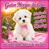 Kleiner weißer Hund mit rosa Schleife sitzt auf rosa Decke im blühenden Garten bei Sonnenaufgang