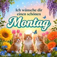 Drei Kätzchen im Blumenfeld bei Sonnenaufgang, Schmetterlinge und Gruß „Schönen Montag“