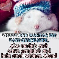 Phuuu der Montag...