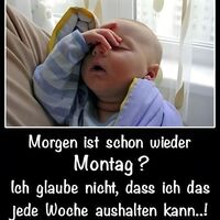 Morgen ist schon...