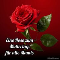 Ein strahlend roter Liebesbeweis, der Herzen erwärmt.