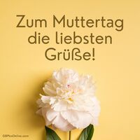 Eine prachtvolle Pfingstrose auf sonnigem Gelb zur Feier des Muttertags.