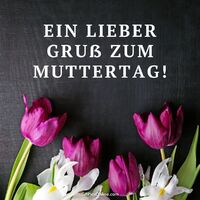 Farbenfrohe Tulpen auf dunklem Hintergrund, ein symbolischer Gruß zum Muttertag.