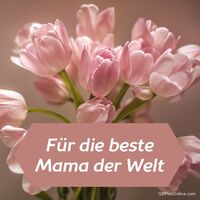 Zarte rosa Tulpen als Zeichen der Liebe und Wertschätzung.