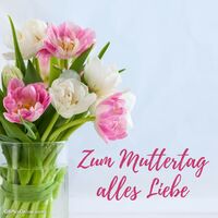 Frühlingsblumen in voller Blüte, ein Hauch von Liebe und Wärme.