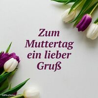 Farbenfrohe Tulpen lassen an diesem besonderen Tag Herzen höher schlagen.