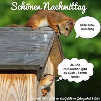 Schönen Nachmitta...