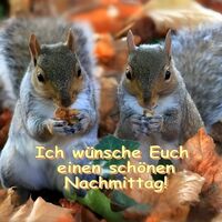 Ich wünsche Euch...