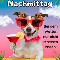 Schönen Nachmitta...