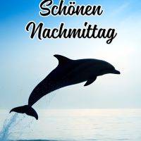 Delfin springt aus dem Meer vor blauem Himmel, darüber steht ein Gruß