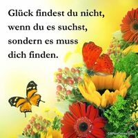 Glück findest du...