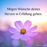 Mögen Wünsche...