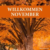 Herbstpracht in voller Entfaltung: Die leuchtend orangenen Blätter begrüßen den November.