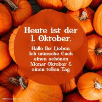 Ein leuchtendes Fest der Kürbisse, perfekt für den Herbstbeginn.