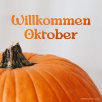 Ein großer, orangefarbener Kürbis feiert den Beginn des Oktobers.