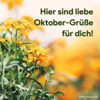 Farbenfrohe Blütenpracht, die den Zauber des Herbstes einfängt.